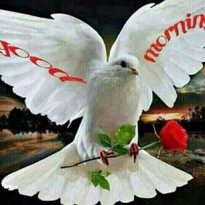 Meet your Posher, Ava